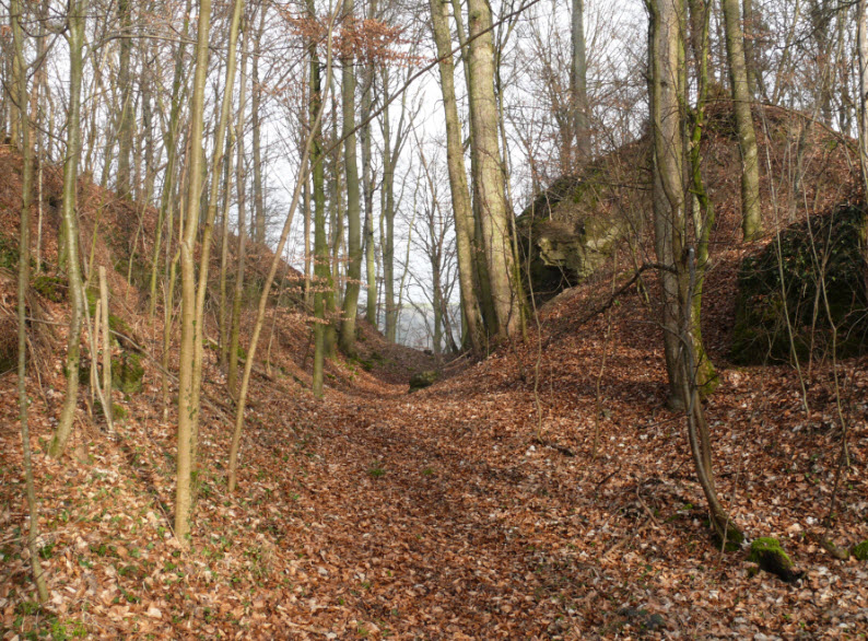 Burgruine Hopfach, Wolpertshausen, Germany, Germany